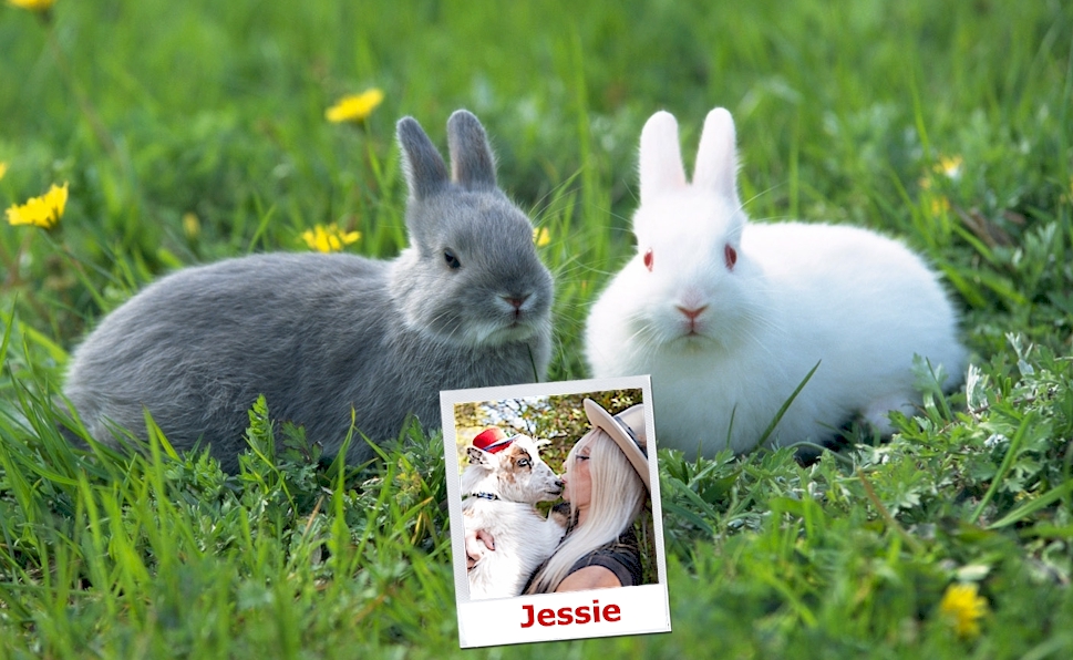 Kids petting a rabbit